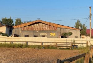 Новини України - Росіяни вдарили по кінному клубу на Київщині