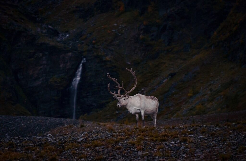 Новини культури - Гороскоп для всіх знаків зодіаку на 17 грудня 2025 року