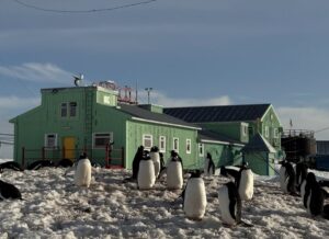 Новини світу - Метеорологи на Вернадському зафіксували кліматичну аномалію