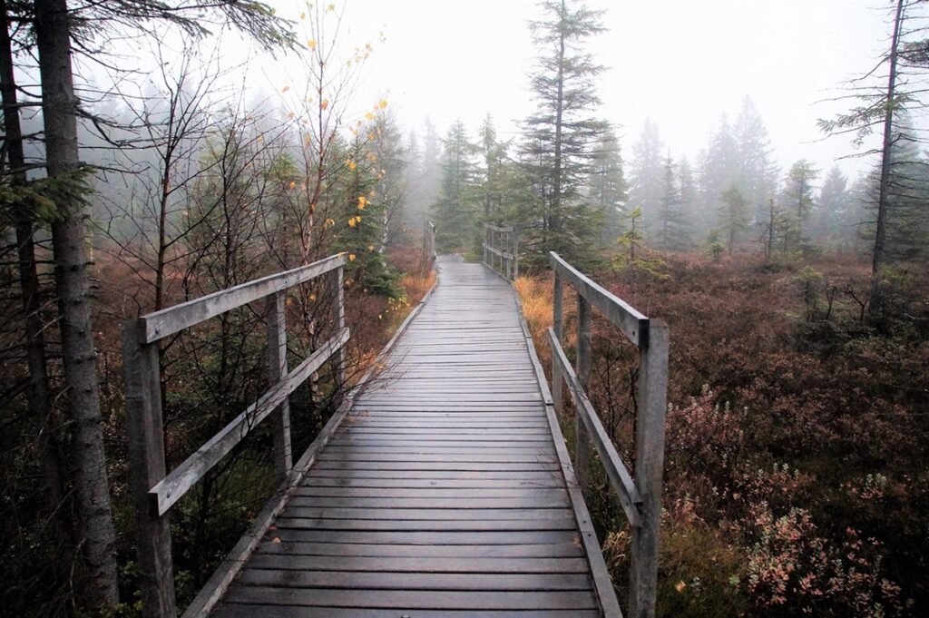 Новини України - Синоптики розповіли, якою буде погода в Україні на вихідних