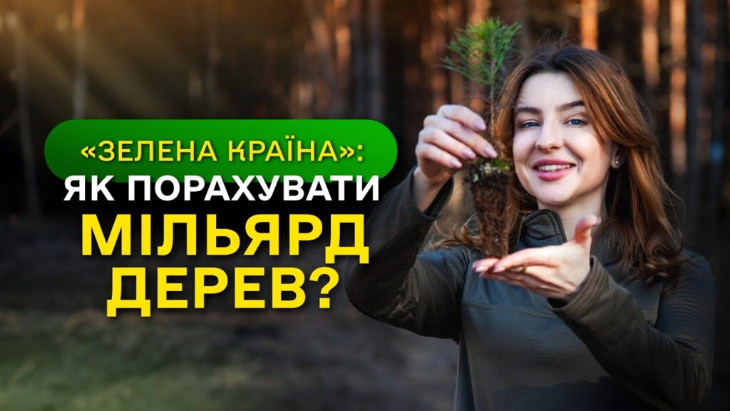 МІЛЬЯРД ДЕРЕВ зʼявився в Україні / як ДП "Ліси України" реалізували програму ЗЕЛЕНА КРАЇНА?