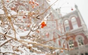 Новини бізнесу - Нацбанк знову зміцнив курс гривні